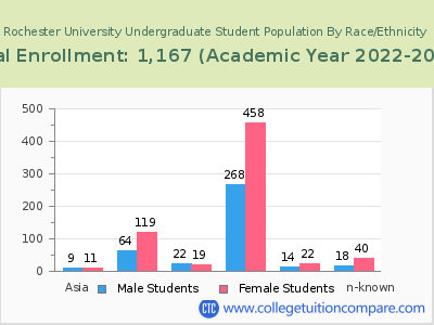 Rochester University 2023 Undergraduate Enrollment by Gender and Race chart