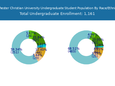 Rochester Christian University 2025 Undergraduate Enrollment by Gender and Race chart