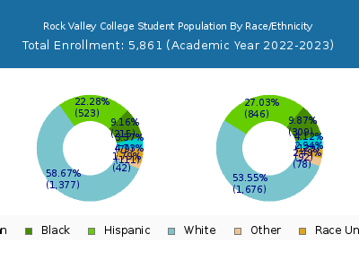 Rock Valley College 2023 Student Population by Gender and Race chart