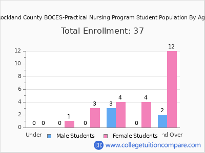 Rockland County BOCES-Practical Nursing Program 2024 Student Population by Age chart