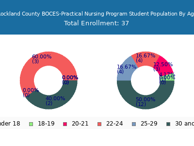 Rockland County BOCES-Practical Nursing Program 2024 Student Population Age Diversity Pie chart
