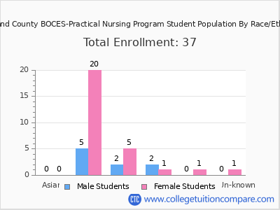 Rockland County BOCES-Practical Nursing Program 2025 Student Population by Gender and Race chart
