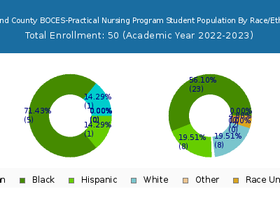 Rockland County BOCES-Practical Nursing Program 2023 Student Population by Gender and Race chart