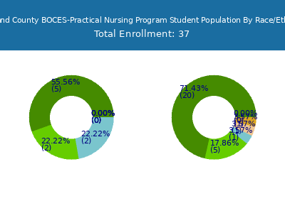 Rockland County BOCES-Practical Nursing Program 2025 Student Population by Gender and Race chart