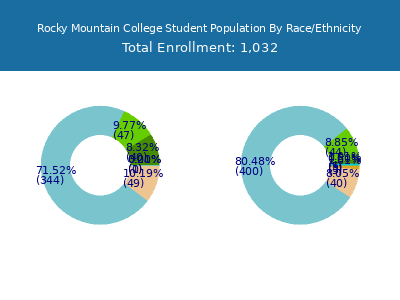 Rocky Mountain College 2025 Student Population by Gender and Race chart
