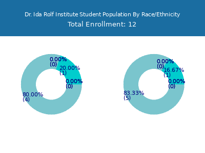 Dr. Ida Rolf Institute 2025 Student Population by Gender and Race chart