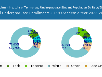 Rose-Hulman Institute of Technology 2023 Undergraduate Enrollment by Gender and Race chart