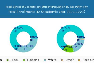 Rosel School of Cosmetology 2023 Student Population by Gender and Race chart