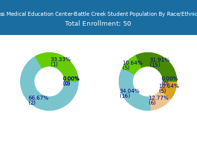 Ross Medical Education Center-Battle Creek 2025 Student Population by Gender and Race chart