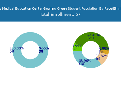Ross Medical Education Center-Bowling Green 2025 Student Population by Gender and Race chart