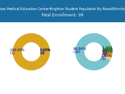 Ross Medical Education Center-Brighton 2025 Student Population by Gender and Race chart