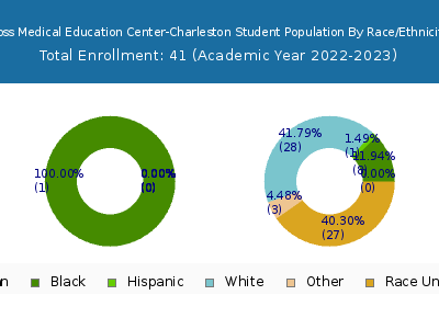 Ross Medical Education Center-Charleston 2023 Student Population by Gender and Race chart