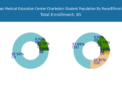 Ross Medical Education Center-Charleston 2025 Student Population by Gender and Race chart