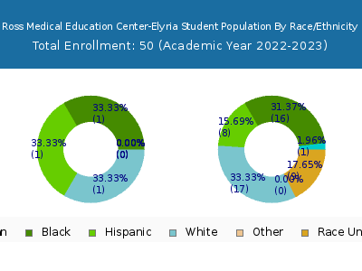 Ross Medical Education Center-Elyria 2023 Student Population by Gender and Race chart