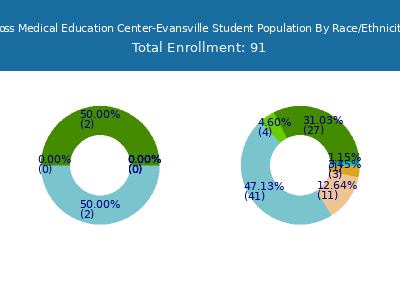 Ross Medical Education Center-Evansville 2025 Student Population by Gender and Race chart