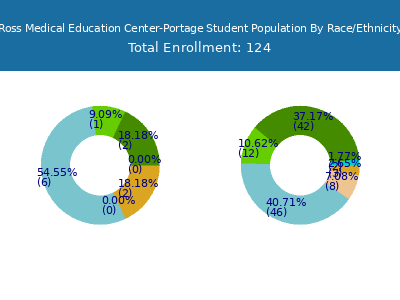Ross Medical Education Center-Portage 2025 Student Population by Gender and Race chart