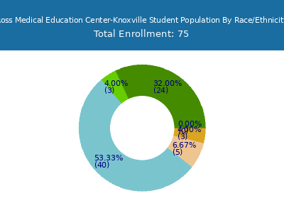Ross Medical Education Center-Knoxville 2025 Student Population by Gender and Race chart