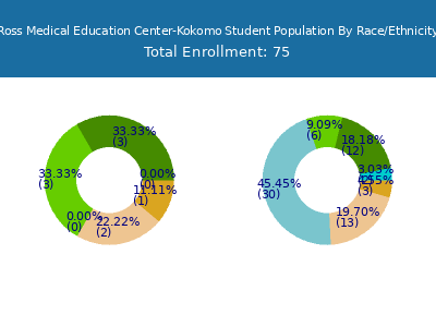 Ross Medical Education Center-Kokomo 2025 Student Population by Gender and Race chart