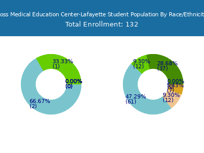 Ross Medical Education Center-Lafayette 2025 Student Population by Gender and Race chart
