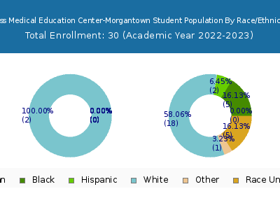 Ross Medical Education Center-Morgantown 2023 Student Population by Gender and Race chart
