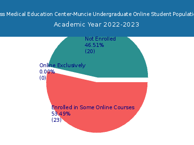 Ross Medical Education Center-Muncie 2023 Online Student Population chart