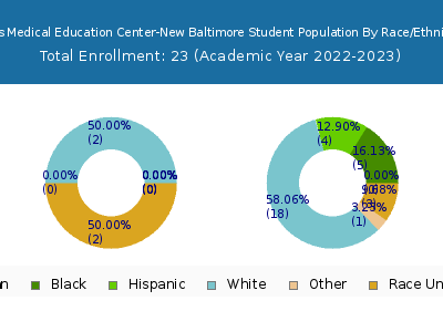 Ross Medical Education Center-New Baltimore 2023 Student Population by Gender and Race chart