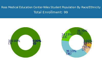 Ross Medical Education Center-Niles 2025 Student Population by Gender and Race chart