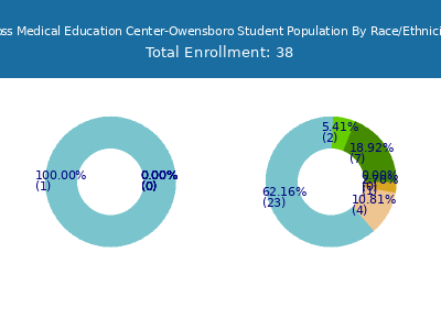 Ross Medical Education Center-Owensboro 2025 Student Population by Gender and Race chart