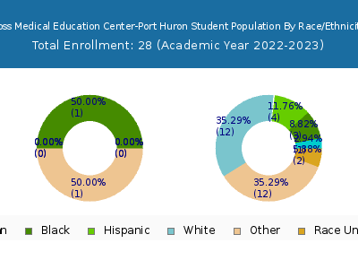 Ross Medical Education Center-Port Huron 2023 Student Population by Gender and Race chart