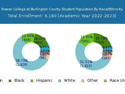 Rowan College at Burlington County 2023 Student Population by Gender and Race chart