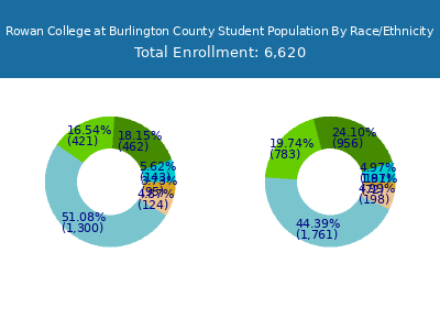 Rowan College at Burlington County 2025 Student Population by Gender and Race chart