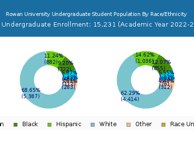Rowan University 2023 Undergraduate Enrollment by Gender and Race chart