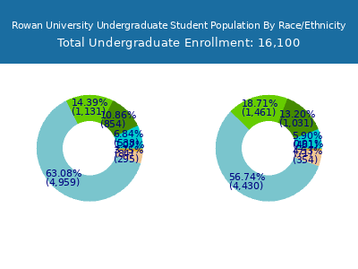 Rowan University 2025 Undergraduate Enrollment by Gender and Race chart