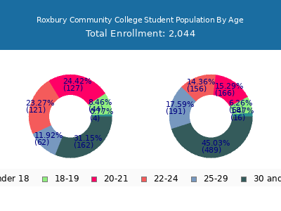 Roxbury Community College 2024 Student Population Age Diversity Pie chart