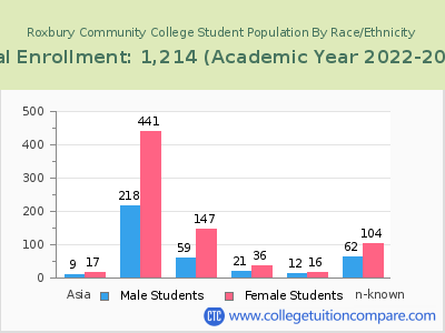 Roxbury Community College 2023 Student Population by Gender and Race chart