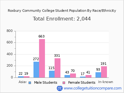 Roxbury Community College 2025 Student Population by Gender and Race chart