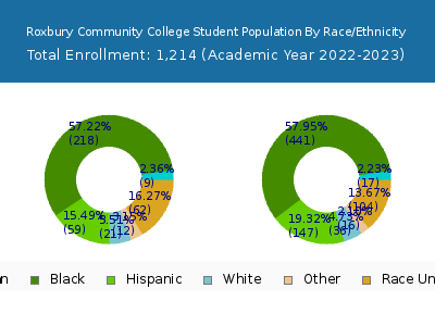Roxbury Community College 2023 Student Population by Gender and Race chart