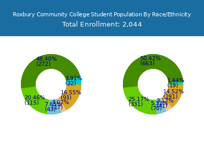 Roxbury Community College 2025 Student Population by Gender and Race chart