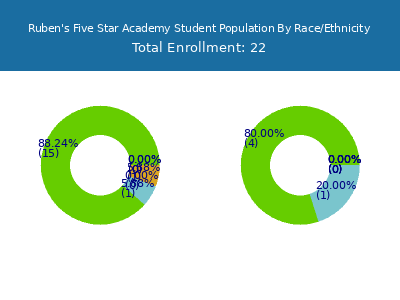 Ruben's Five Star Academy 2025 Student Population by Gender and Race chart
