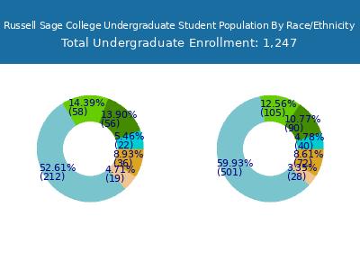 Russell Sage College 2025 Undergraduate Enrollment by Gender and Race chart