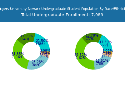 Rutgers University-Newark 2025 Undergraduate Enrollment by Gender and Race chart