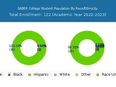 SABER College 2023 Student Population by Gender and Race chart