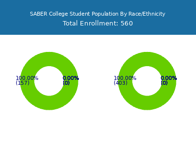 SABER College 2025 Student Population by Gender and Race chart