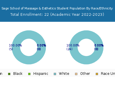 Sage School of Massage & Esthetics 2023 Student Population by Gender and Race chart