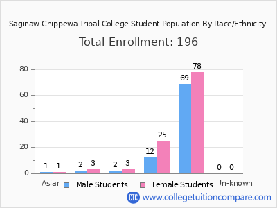 Saginaw Chippewa Tribal College 2025 Student Population by Gender and Race chart