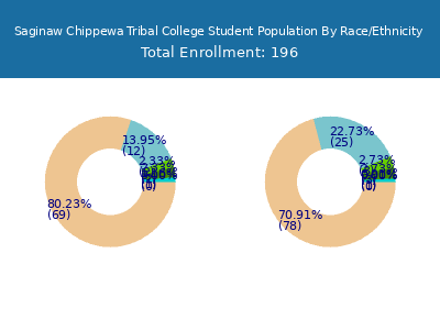 Saginaw Chippewa Tribal College 2025 Student Population by Gender and Race chart
