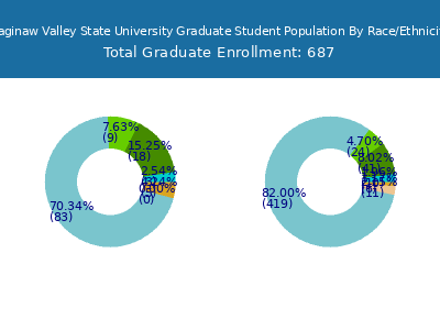 Saginaw Valley State University 2025 Graduate Enrollment by Gender and Race chart