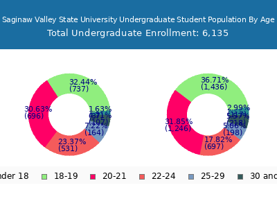 Saginaw Valley State University 2024 Undergraduate Enrollment Age Diversity Pie chart