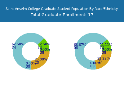Saint Anselm College 2025 Graduate Enrollment by Gender and Race chart