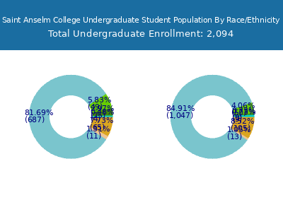 Saint Anselm College 2025 Undergraduate Enrollment by Gender and Race chart